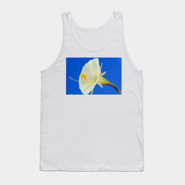 Narcissus romieuxii  &#39;Treble Chance&#39;  Hoop petticoat daffodil  Division 10  Bulbocodium Tank Top by chrisburrows